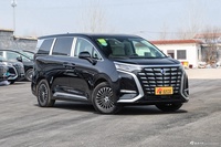 2024款腾势D9 DM-i 1050尊享型