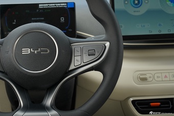 2026款海鸥 305km 活力版