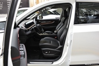 2020款星途LX 1.5T CVT星耀版