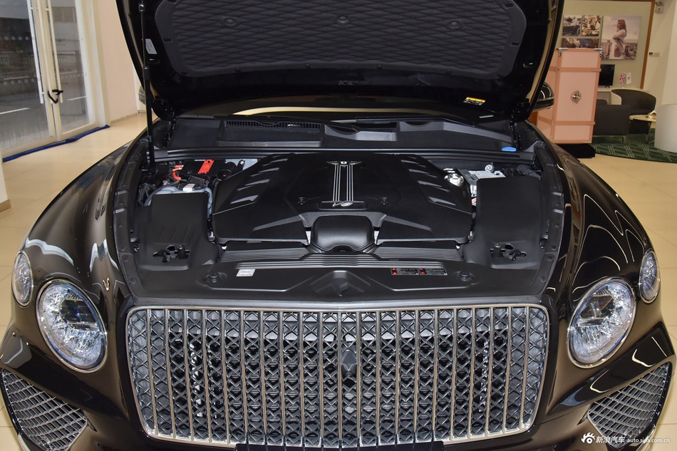 2024款添越 4.0T V8 雅度版