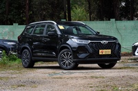 2025款瑞虎8 PRO 290T 两驱尊贵版