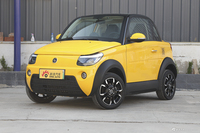 2020款迈迈 大麦版