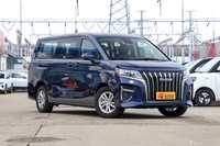 2023款王牌M7 2.0L CNG长轴豪华营运版 9座