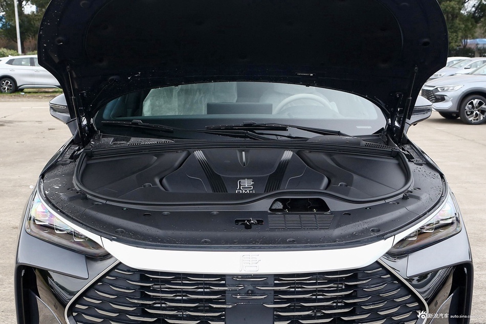2024款唐DM-i 荣耀版 200KM 旗舰型