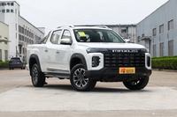 2023款星际H 2.0T自动柴油两驱精英版长轴