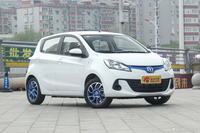  2019款奔奔EV360改款 标准型 