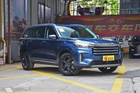 2021款揽月 1.6T自动290T星享版 