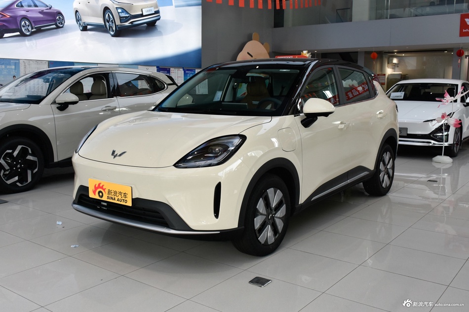 2025款五菱缤果S 325km 尊享款