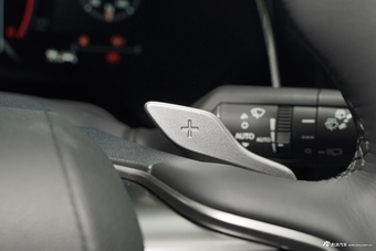 2026款雷克萨斯RX 300 四驱Black Edition