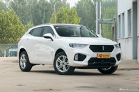 2019款WEY VV5 1.5T自动两驱颜先锋 