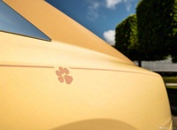 2025款闪灵 贝利