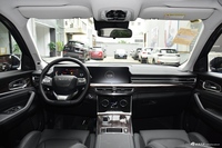 2021款揽月 1.6T自动290T星享版 