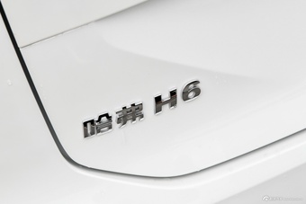 2024款新一代哈弗H6 2.0T 两驱Max