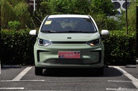 2023款花仙子 周年款 301km 白玉兰 45kW