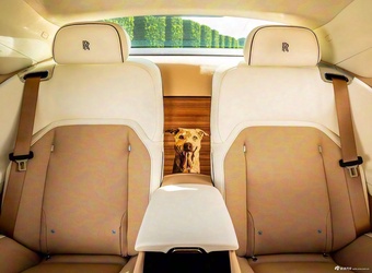 2025款闪灵 贝利