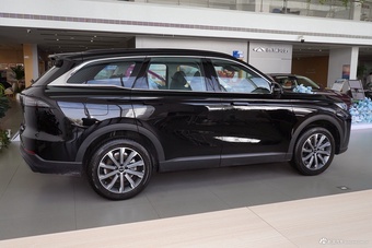 2025款风云T9 120 长续航版尊荣型 5座