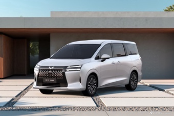 2025款五菱星光730 基本型 官图