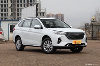 2022款哈弗M6 PLUS 1.5T DCT柳岩联名版