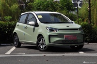 2023款花仙子 周年款 301km 白玉兰 45kW