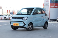 2022款风光MINIEV 豪华型