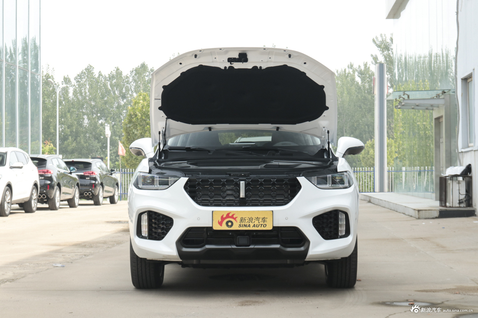 2019款WEY VV5 1.5T自动两驱颜先锋 