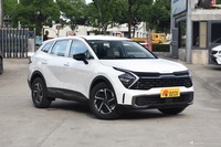 2023款狮铂拓界 2.0L HEV 两驱豪华版