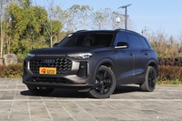 2023款奥迪Q6 50 TFSI quattro 凌云版 edition one