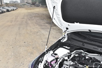 2026款雷凌L 汽油版 2.0L 豪华版