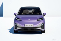 2023款极狐考拉基本型 官图