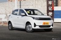 2022款雷丁芒果 200标准版