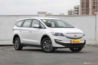 2021款枫叶80V易行版 