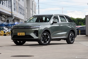 2025款枭龙MAX Hi4 110 Pro图片