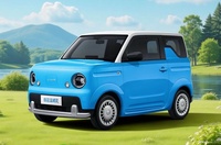 2025款睿蓝蓝精灵 基本款 官图