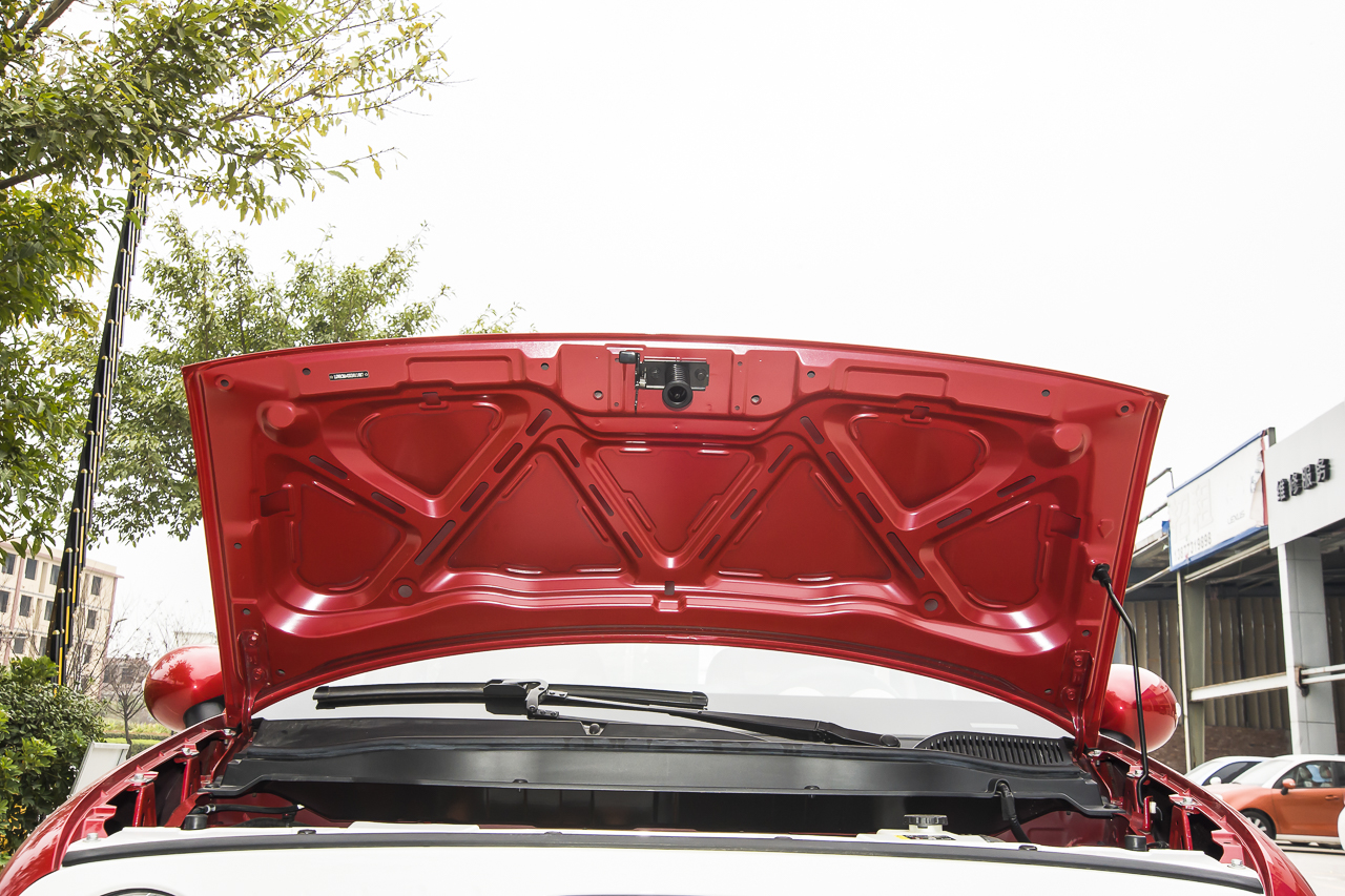 2019款欧拉R1 351km  女神版