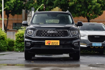 2023款哈弗二代大狗1.5T 两驱潮野版Plus