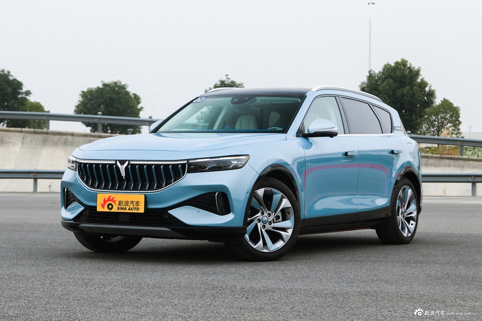 2021款岚图FREE 四驱纯电版专属豪华套装