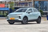 2024款几何E 萤火虫 301KM 星光