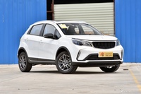 2024款睿蓝汽车X3 PRO 1.5L CVT小飒